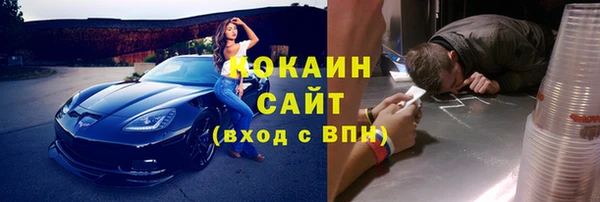 прущие грибы Тайга