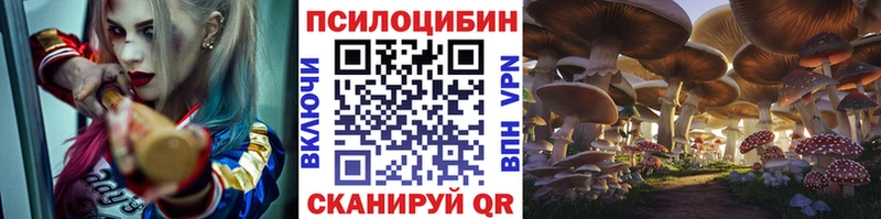 Псилоцибиновые грибы мицелий  Семёнов 